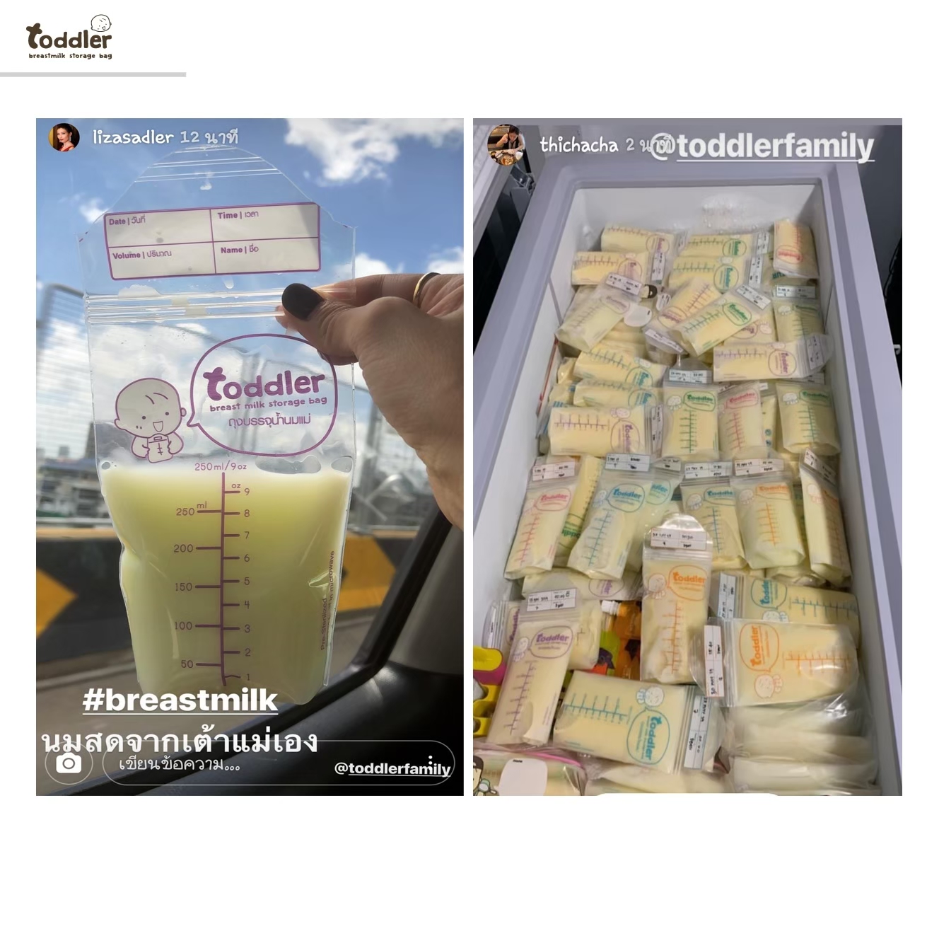 ท็อตเลอร์ ถุงเก็บน้ำนมแม่ ขนาด 9 ออนซ์ 1 กล่อง 28 ใบ ท็อตเลอร์ ถุงเก็บน้ำนมแม่ ขนาด 9 ออนซ์ 1 กล่อง 28 ใบ